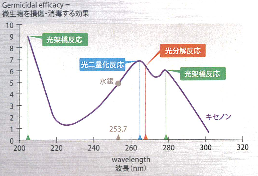 紫外線殺菌ランプ装置